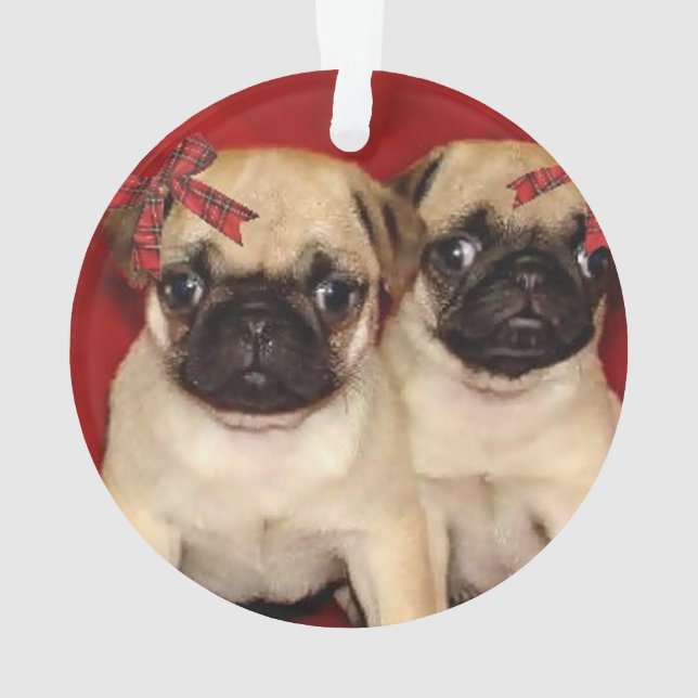 Chiots de carlin de Noël (dos)