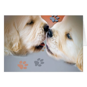 Chiots de golden retriever embrassant des cartes