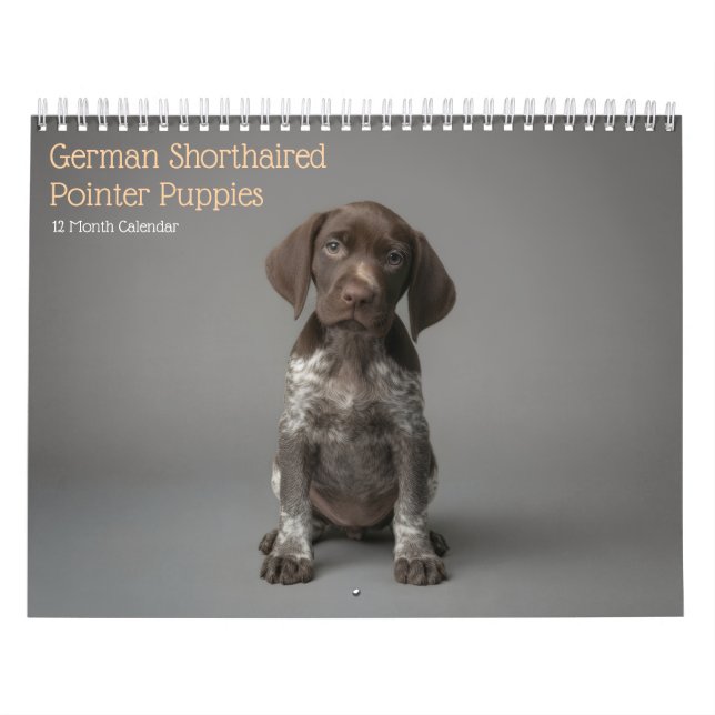 Chiots de Pointer Allemand à Poil Court Calendrier (Protection)