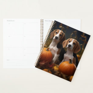Chiots Foxhound Anglais Américain Délice d'Automne