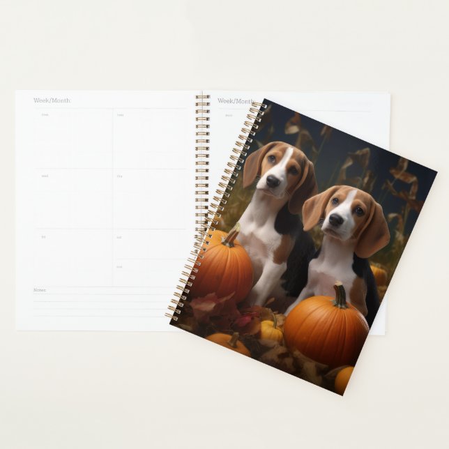 Chiots Foxhound Anglais Américain Délice d'Automne (Devant avec enveloppe)