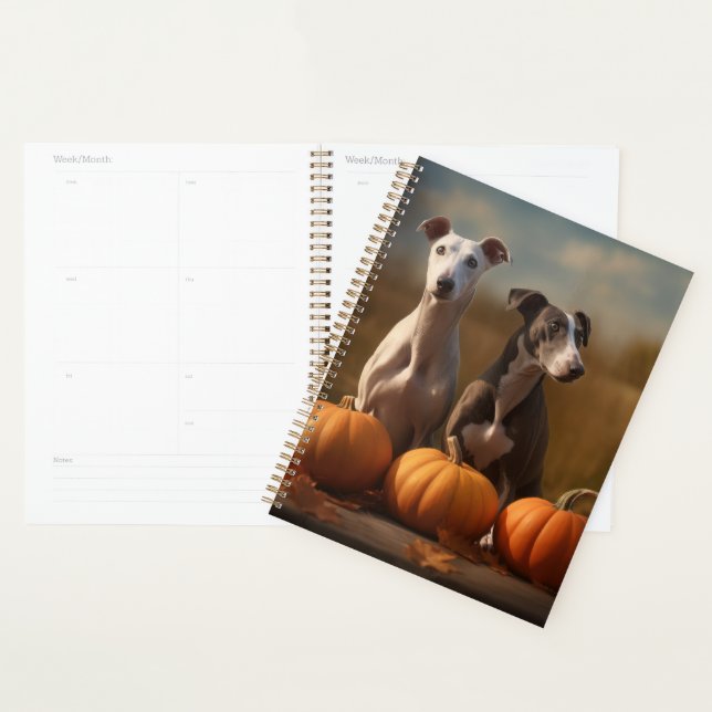Chiots Greyhound Délice d'Automne Citrouille (Devant avec enveloppe)