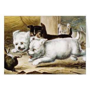 Chiots Rat Terrier - Art Fin Vintage