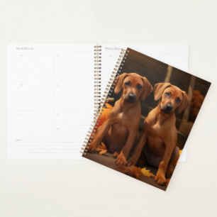 Chiots Rhodesian Ridgeback Autumn Delight Citrouil