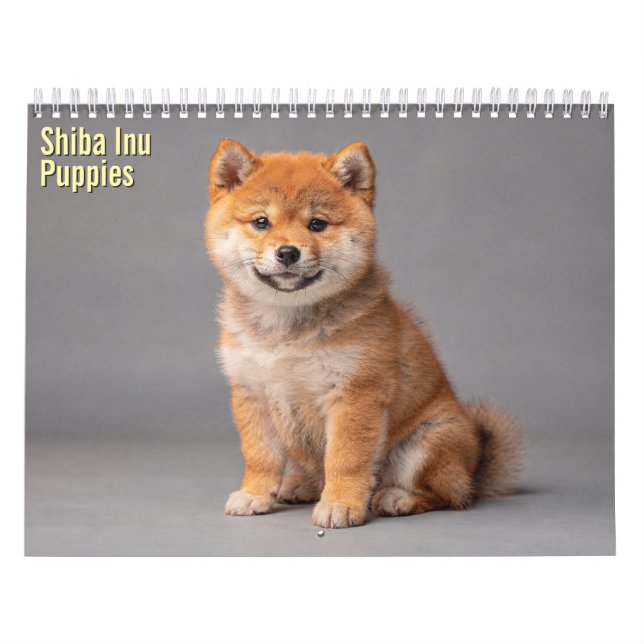 Chiots Shiba Inu Calendrier 2027 (Protection)