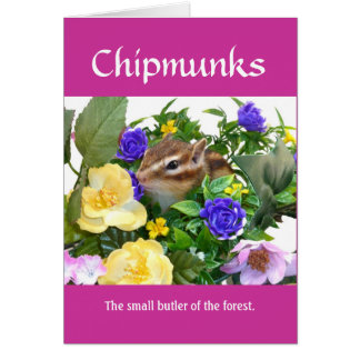 Chipmunk and flower (pohto) type-1