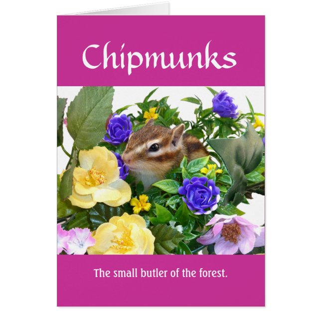Chipmunk and flower (pohto)　type-1 (Devant)