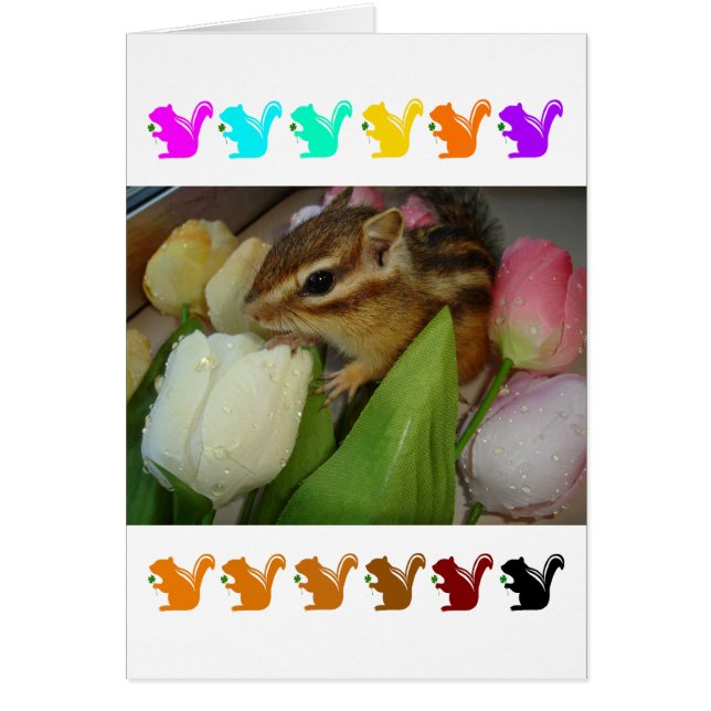 Chipmunk and flower (pohto)　type-5 (Devant)