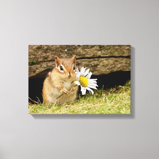 Chipmunk bébé adorable avec toile enveloppée de ma (Recto)