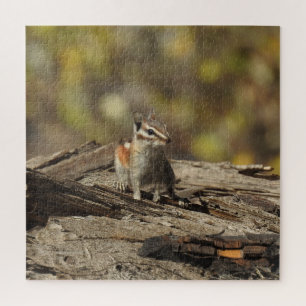 Chipmunk, faune, puzzle