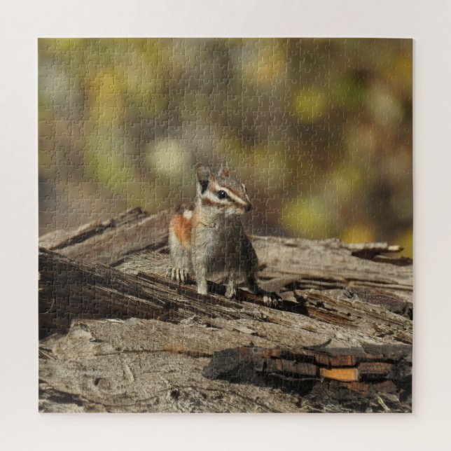 Chipmunk, faune, puzzle (Vertical)