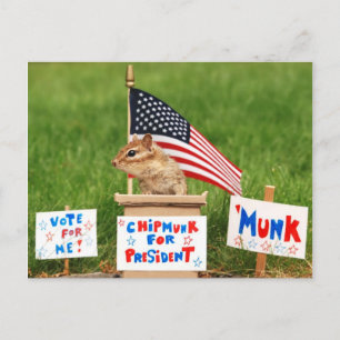 Chipmunk pour la carte postale du président