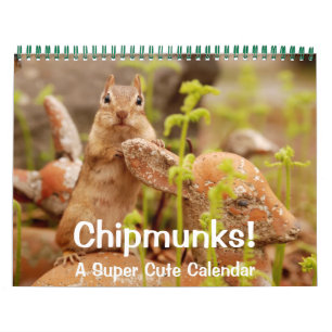 Chipmunks ! Un calendrier mural super mignon