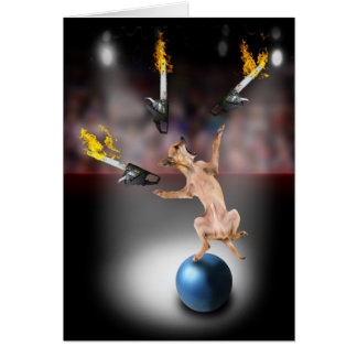 Chiwawa de jonglerie de tronçonneuse