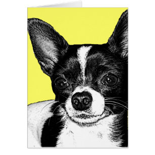 Chiwawa de partie