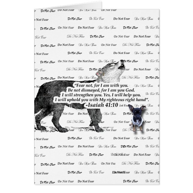 Chiwawa d'hurlement de loup - ne craignez pas - (Devant)