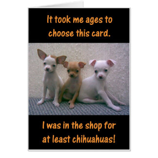 Chiwawas