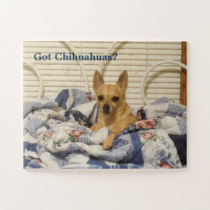 Chiwawas obtenus puzzle