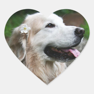 CHO CHO Feuille de stickers