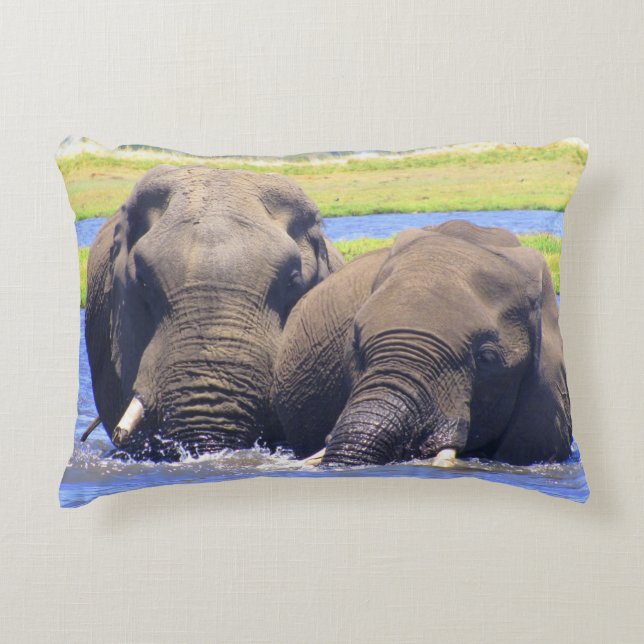 Chobe Elephants Jouer dans le Coussin d'acCENCE d' (Devant)
