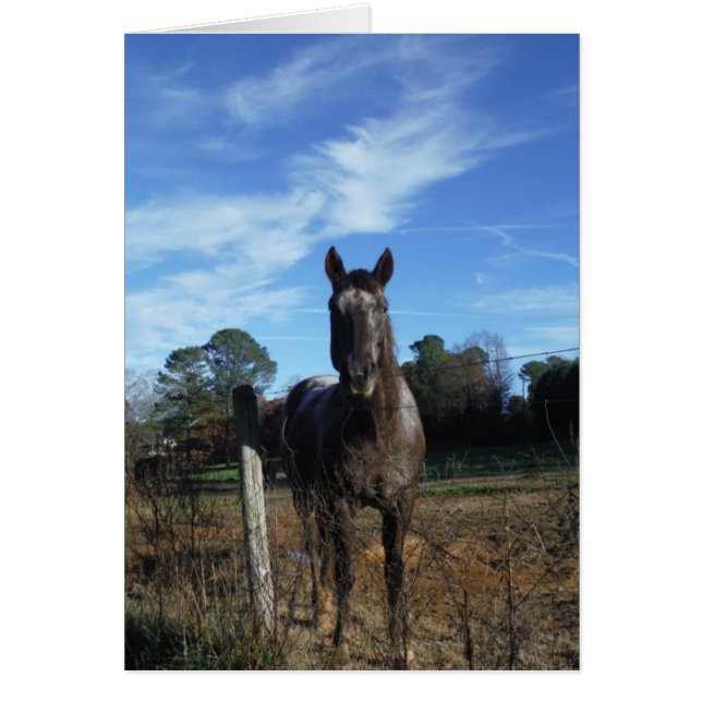 Chocolat au lait Cheval Brown en bleu (Devant)
