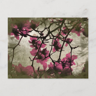 Chocolat Framboise Fleur Branches Carte postale
