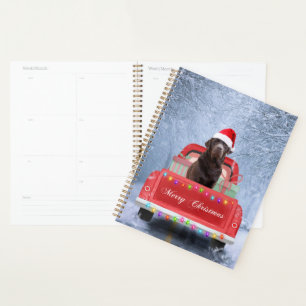 Chocolat Labrador Chien à Noël de neige