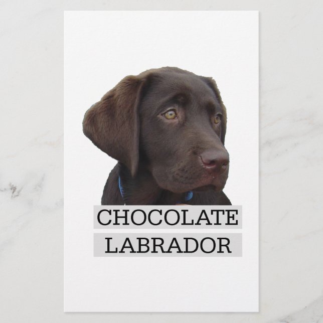Chocolat Labrador Design unique! (Devant)
