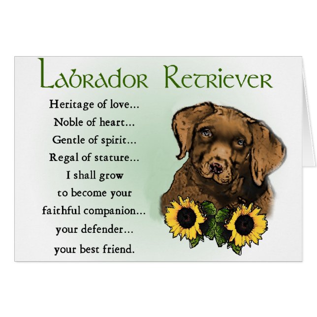 Chocolat Labrador Retriever Puppy Gifts (Devant horizontal)
