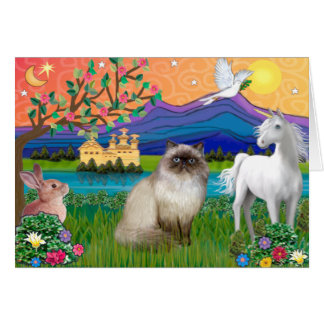 Chocolat Point Himalaya Chat - Terre Imaginaire
