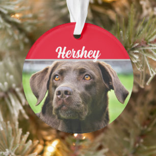 Chocolate Labrador with Name and Photo Christmas