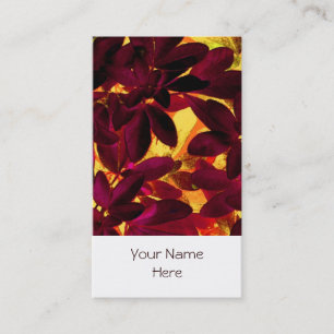 Choisya Autumn Portrait blanc carte de visite