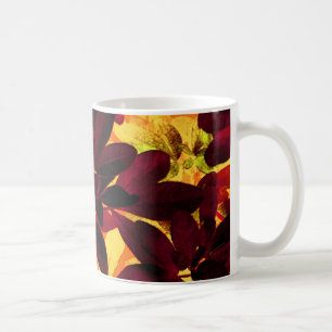 Choisya Mug bicolore d'automne
