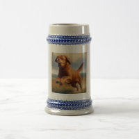 Chien de la baie de Chesapeake