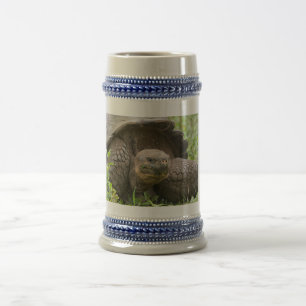 Chope À Bière Tortue géante