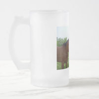 BFF Best Friends Forever - Chevaux