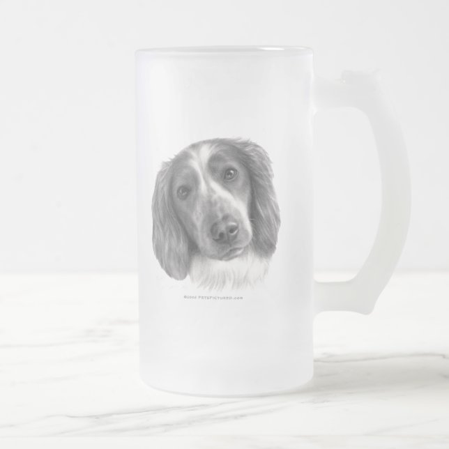 Chope Givrée Britt, springer spaniel de Gallois (Droit)