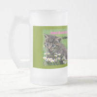 chaton enchanté