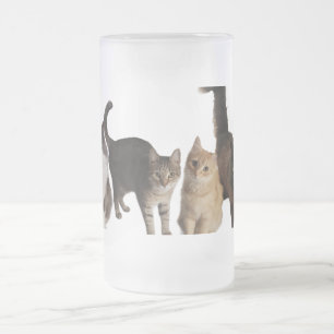 Chope Givrée Chats 