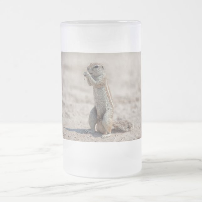 Chope Givrée Cuisine sqirrel (Centre)