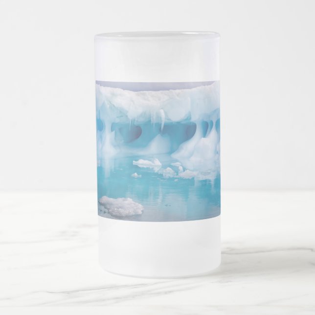 Chope Givrée Glace en Antarctique (Centre)