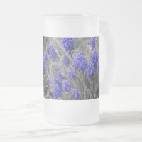 Hyacinthes de raisin Famille Sélectionner Bière en
