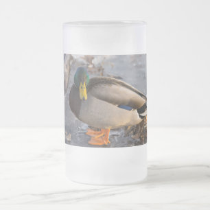 Chope Givrée Mallard Sur La Glace