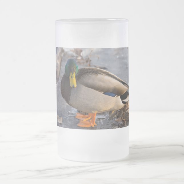 Chope Givrée Mallard Sur La Glace (Centre)