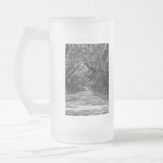Chope Givrée Niveaux De Gris De L'Avenue Des Chênes (Gauche)
