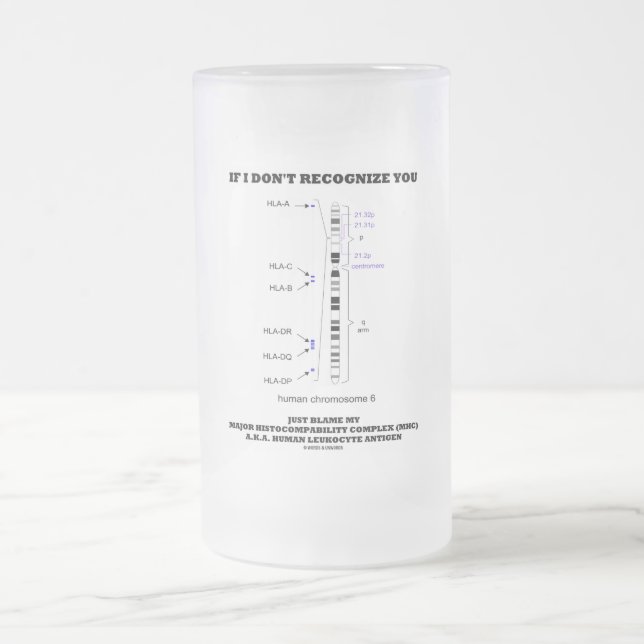 Chope Givrée Si je ne vous reconnais pas, blâmez simplement ma  (Centre)