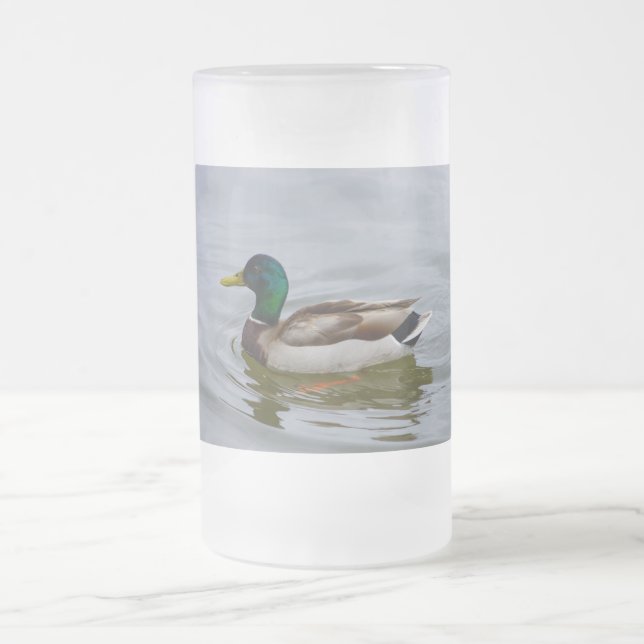 Chope Givrée Swim Mallard Swim (Centre)