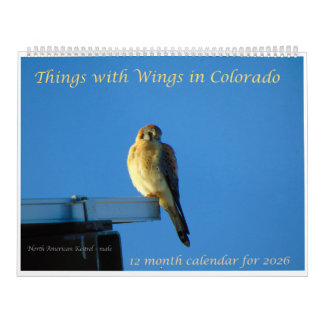 Choses avec des ailes : Un calendrier de photograp