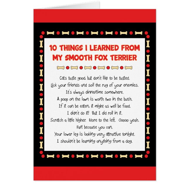Choses drôles I appris de mon Fox Terrier doux (Devant)