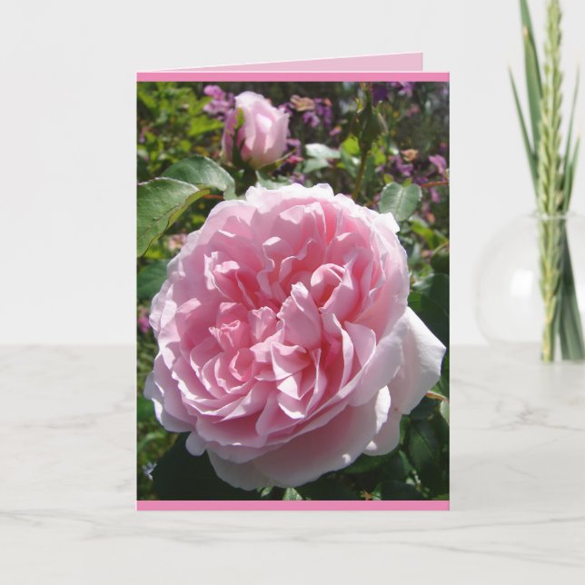Chou Vintage rose Anglais Rose carte florale (Devant)